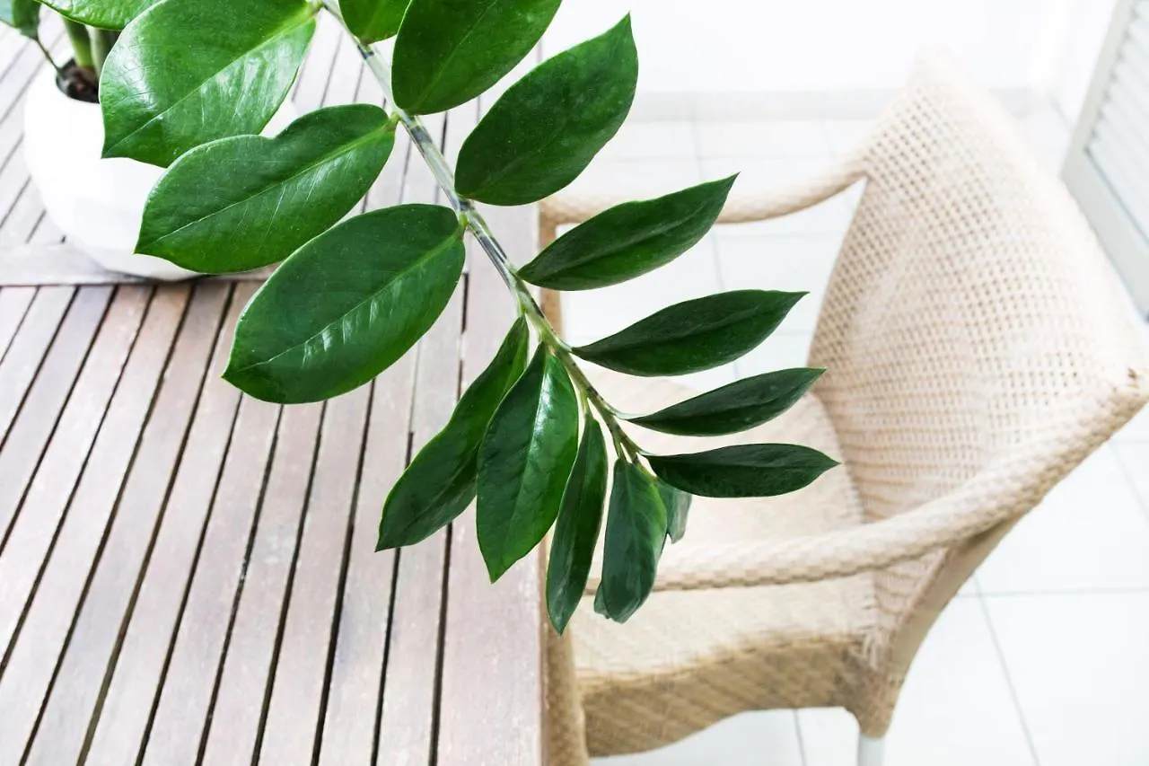 Apartmán Perla Del Parco Riccione